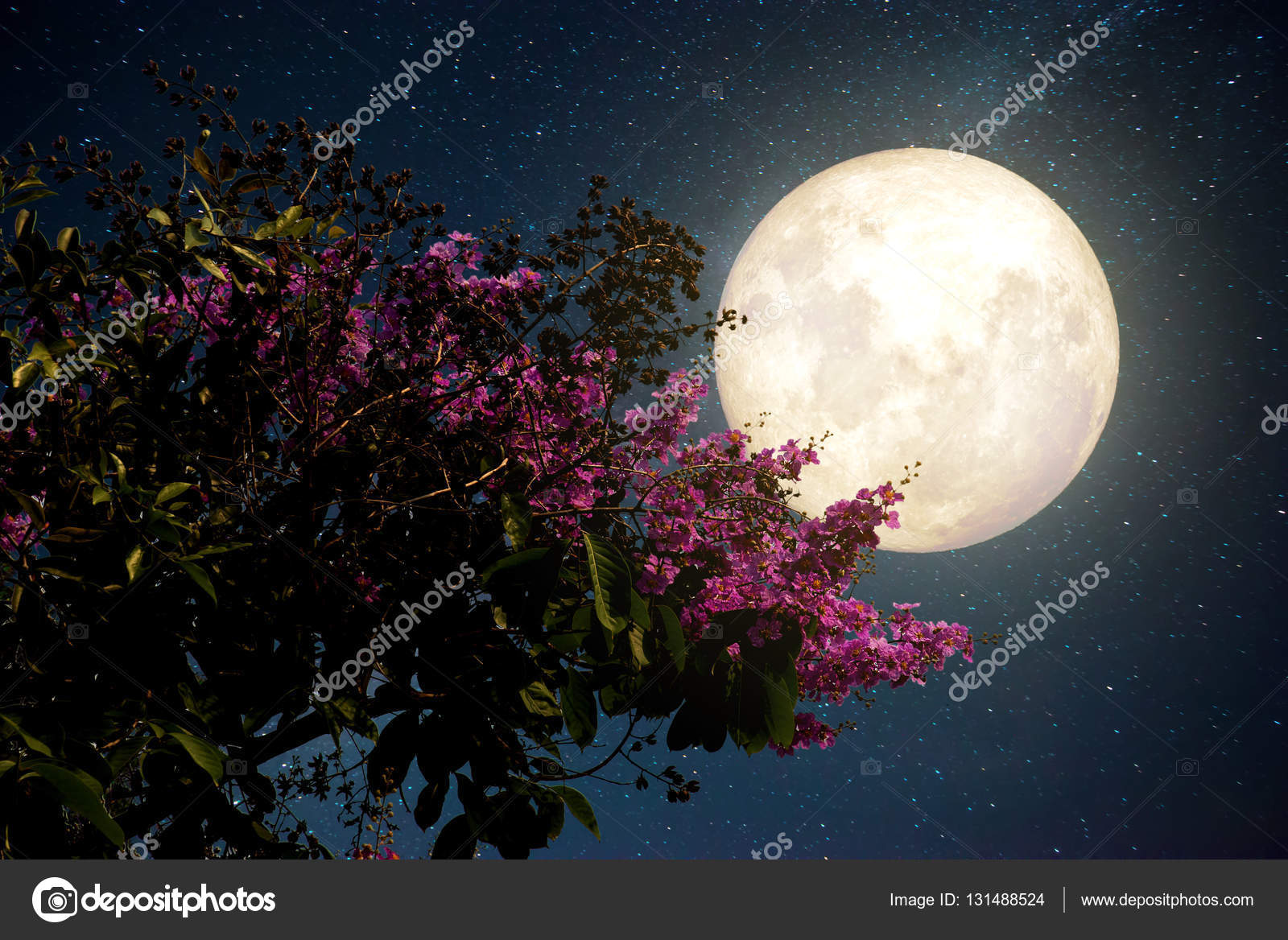 Каким цветом луна на небе. Луна. Луна и цветы. Цветущая Луна. Цвет Луны.