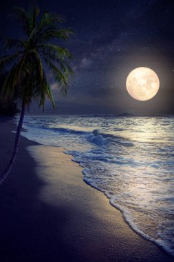  Gece gökyüzü, dolunay Samanyolu yıldız