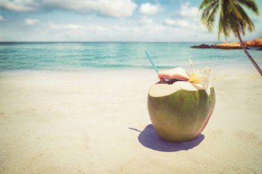 Taze hindistan cevizi kokteyller 