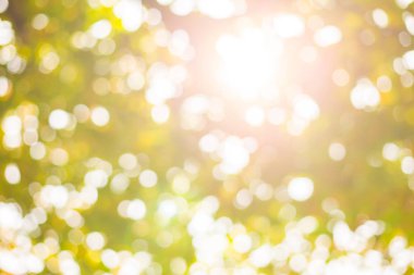 Soyut doğa bokeh arkaplanı 