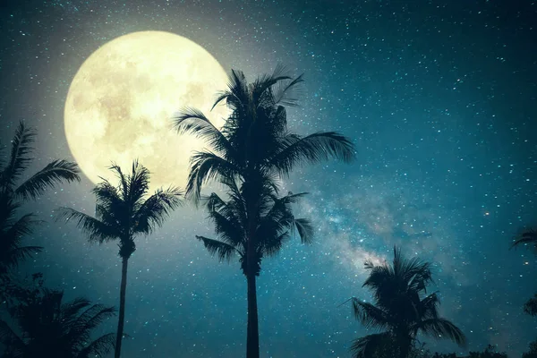 夜空の天の川の星を含む椰子の木熱帯ビーチ — ストック写真