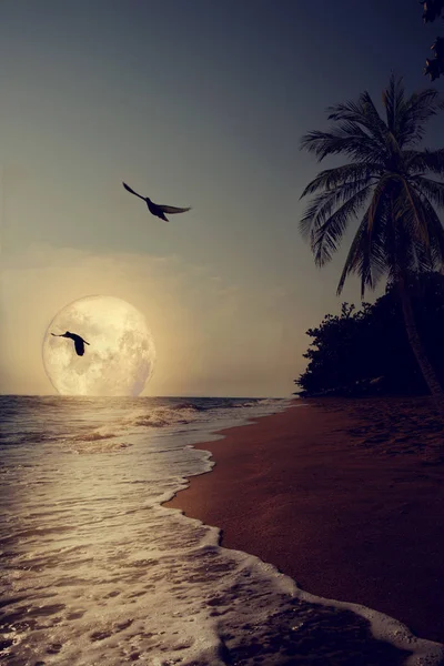 Тропічний пляж з Чумацький шлях зіркою в ніч небо, повний місяць — стокове фото