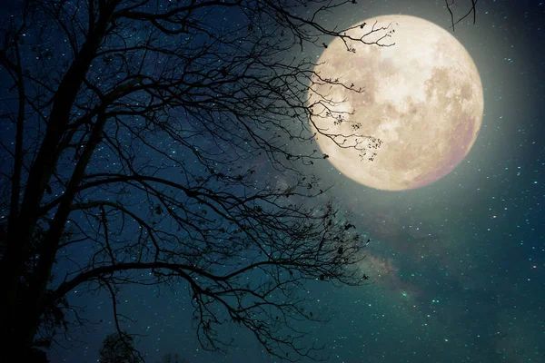 Чумацький шлях зірки в ніч небо, повний місяць — стокове фото