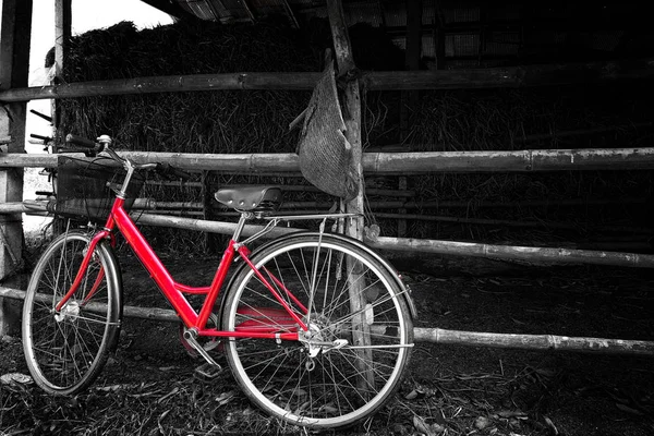 Black and white photo of red bicycle — Stock Photo, Image