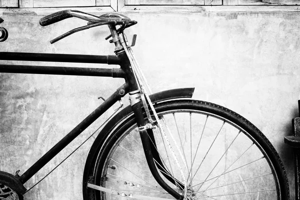 Черно-белое фото винтажного велосипеда — стоковое фото