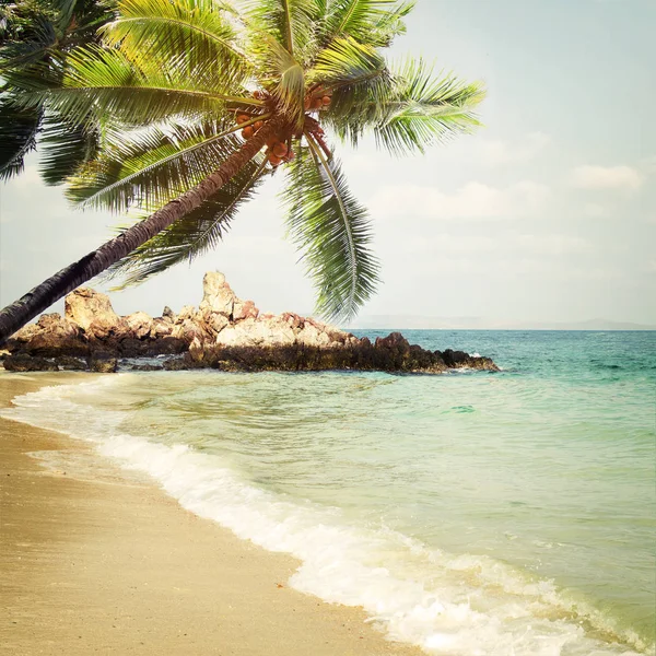 Playa tropical en verano — Foto de Stock