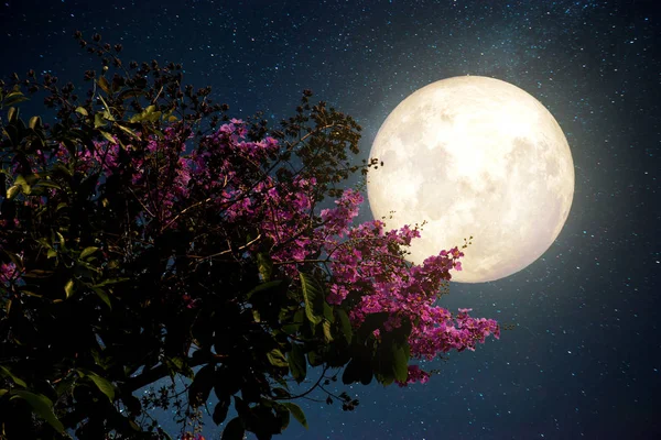 Estrella de la Vía Láctea en los cielos nocturnos; luna llena —  Fotos de Stock