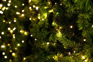 Arka plan bulanık Noel ağacına