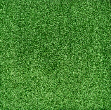 yeşil çim dokusu