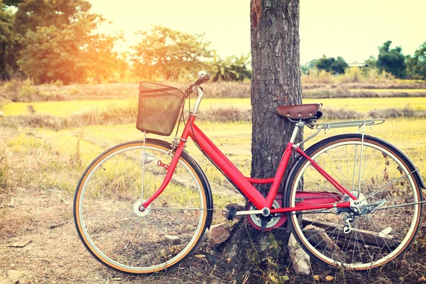 Пейзаж деревенский с винтажным красным велосипедом — стоковое фото