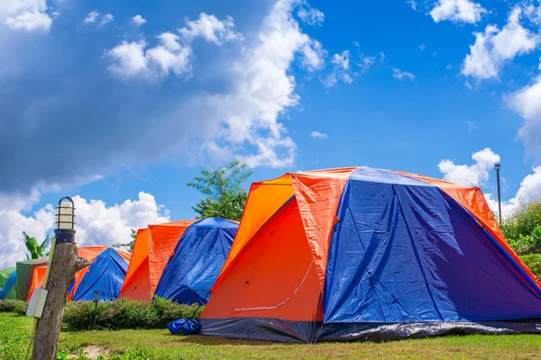 Tente camping fond — Photo