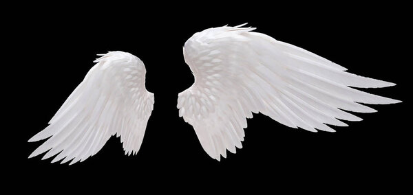 white angel wings