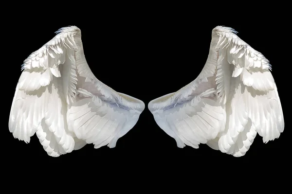 Άσπρο άγγελο φτερά — Φωτογραφία Αρχείου