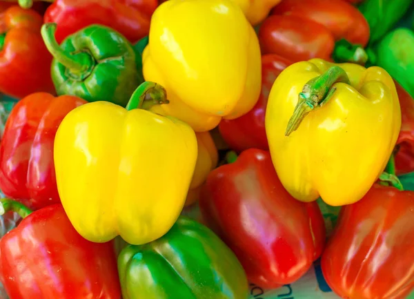 Bell pepper in market Stock Image