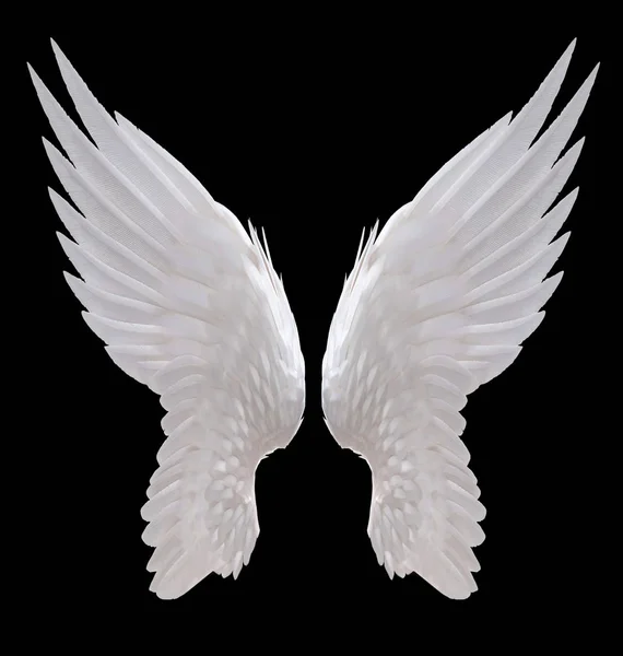 White angel wings — Stock Photo, Image