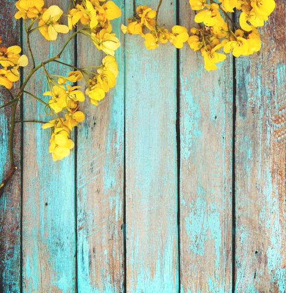 Blume des Frühlings Hintergrund — Stockfoto