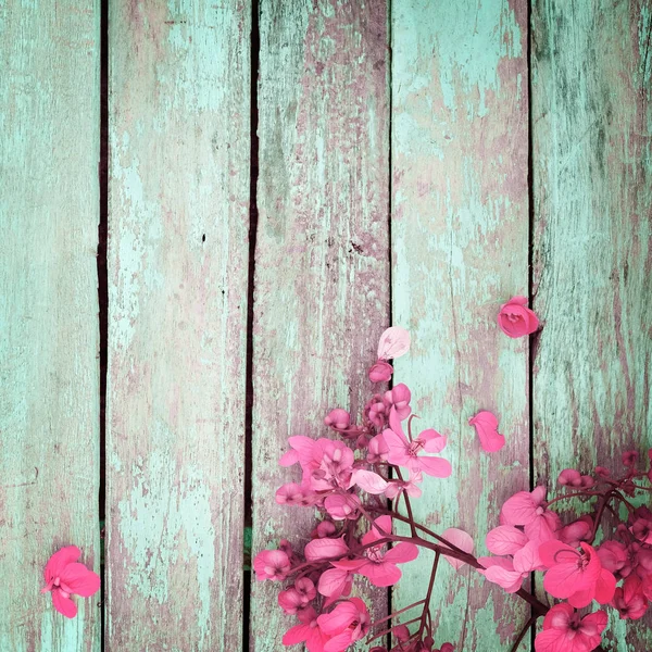 Rosa Blüten auf Vintage-Holz — Stockfoto