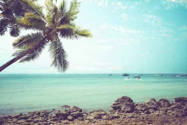 Vintage tropischer Strand — Stockfoto