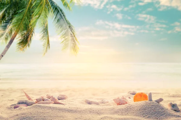 Playa de verano junto al mar — Foto de Stock