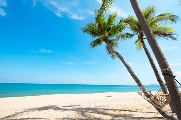 Kokospalme am tropischen Strand — Stockfoto