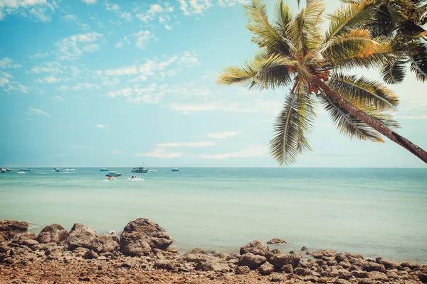 Playa tropical vintage — Foto de Stock