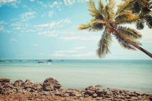 Vintage tropischer Strand — Stockfoto