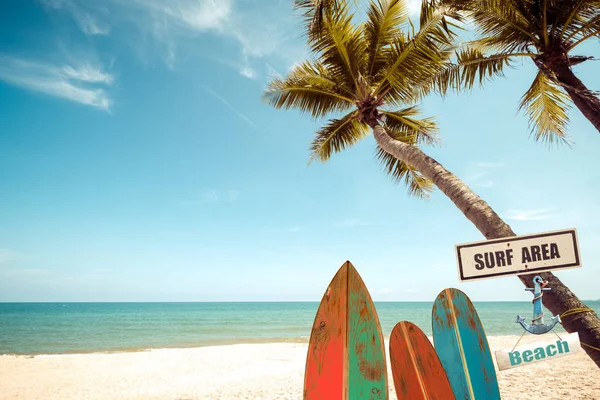 Surf board with palm tree on tropical beach — Stock Photo, Image