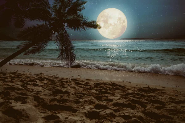 Fantasia praia tropical com estrela e lua cheia — Fotografia de Stock