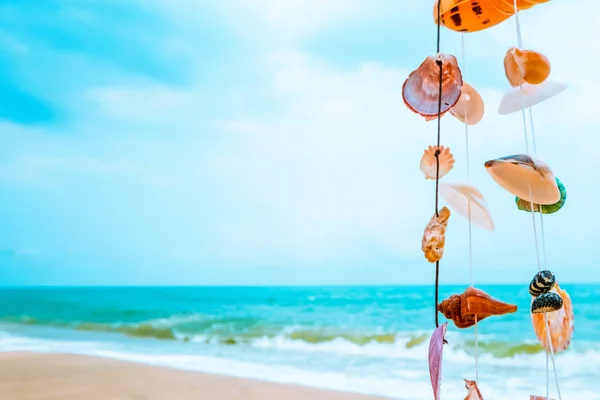 Conchas decoração com praia tropical — Fotografia de Stock