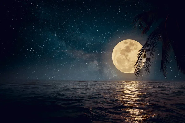 Fantasy tropiska strand med stjärna och fullmåne — Stockfoto
