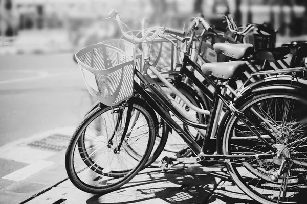 Прокат велосипедов — стоковое фото