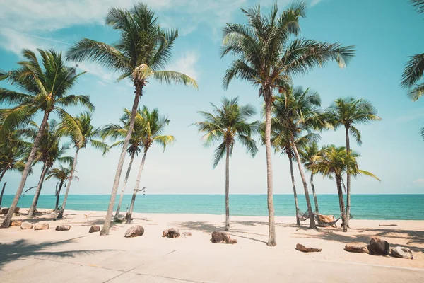 Palmeira de coco na praia tropical — Fotografia de Stock