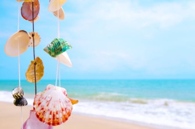 tropikal plajı ile deniz kabuklarını dekorasyon