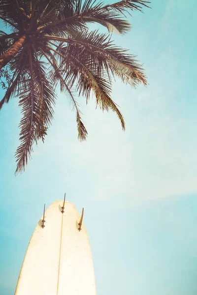 Placa de surf com palmeira na temporada de verão — Fotografia de Stock