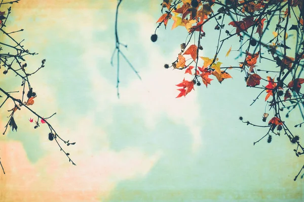Eski bir kağıt kartpostal sonbahar yaprakları. — Stok fotoğraf