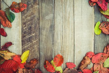 Antika ahşap arka plan güzel akçaağaç yaprakları 