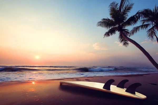 Tabla de surf Silhouette en la playa tropical — Foto de Stock