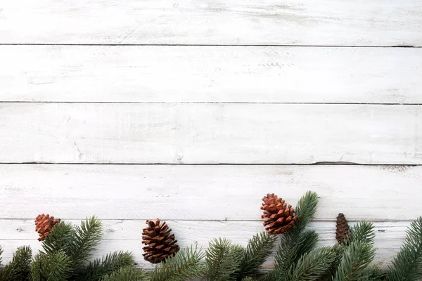 Navidad naturaleza fondo — Foto de Stock