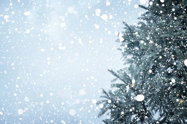 Χριστουγεννιάτικο δέντρο πεύκο ή έλατο με χιονοπτώσεις — Φωτογραφία Αρχείου