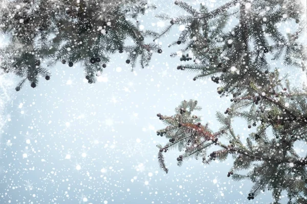 Рождественская елка и снегопад — стоковое фото