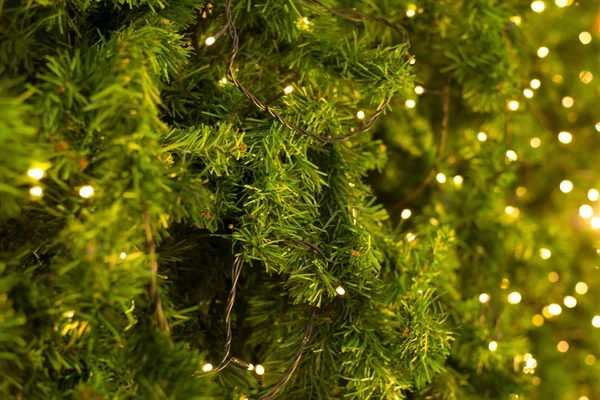 Árvore de Natal borrada — Fotografia de Stock