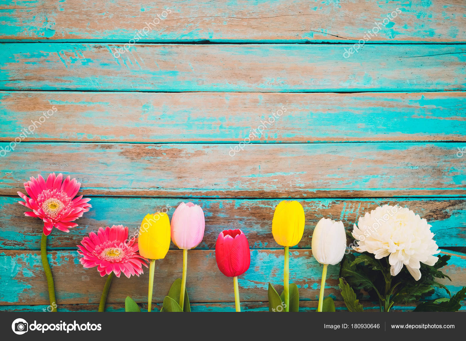 Colorful Flowers Vintage Wooden Background Top View Border Design Vintage Stock Photo Image By C Jakkapan 180930646 Set of calligraphic design elements, page decor, dividers. colorful flowers vintage wooden background top view border design vintage stock photo image by c jakkapan 180930646