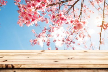 Ahşap masa boş üst ürün ve gıda ekranınız için hazır veya pembe kiraz çiçeği çiçek (sakura) gökyüzü arka plan bahar sezonunda montaj.