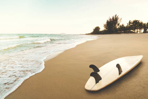 Tabla Surf Playa Tropical Amanecer Verano Paisaje Marino Playa Verano — Foto de Stock