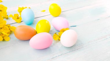 Yuvaya çiçek rustik ahşap plakalar arka plan üzerinde renkli Paskalya yumurtaları. Bahar mevsimi tatil. Vintage pastel renk tonu. Kompozisyon kadar kapatın.