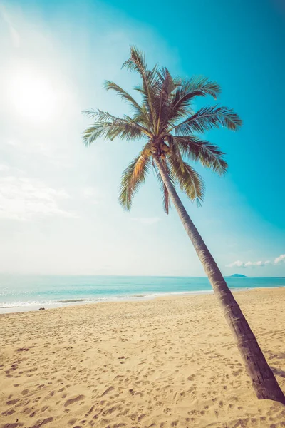 Meereslandschaft Mit Schönem Tropischen Strand Und Palme Bei Sonnenaufgang Strand — Stockfoto