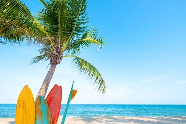 Vintage Surfbrett Mit Palme Tropischen Strand Sommer — Stockfoto