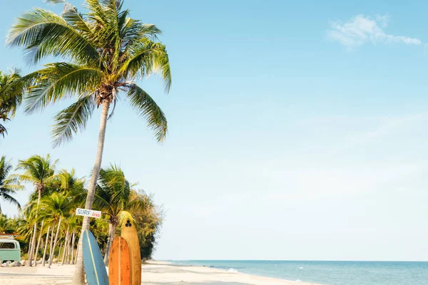 Landschaft Aus Kokospalmen Tropischen Strand Sommer Strandschild Für Surfgebiet Farbfilter — Stockfoto