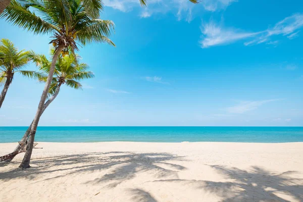 Пейзаж Кокосової Пальми Тропічному Пляжі Влітку Концепція Літнього Фону — стокове фото