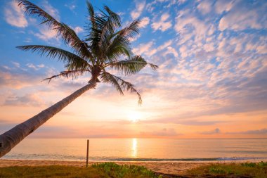 Güzel tropikal Beach gündoğumu, palmiye ağacı ile deniz manzarası. deniz görünümü plaj yaz arka planda.
